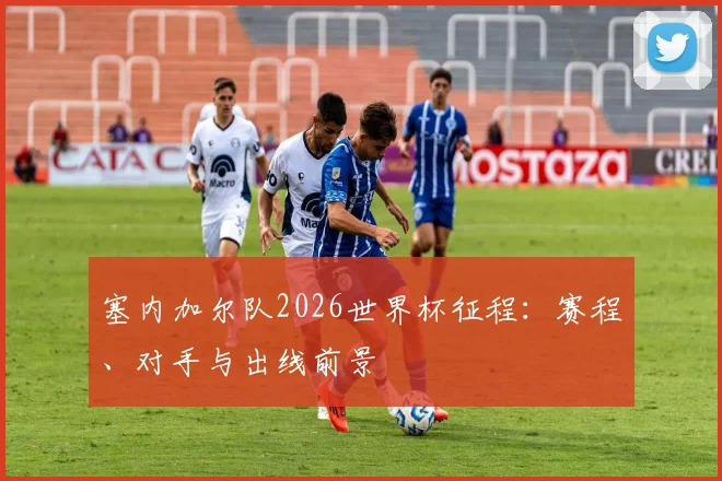 塞内加尔队2026世界杯征程：赛程、对手与出线前景